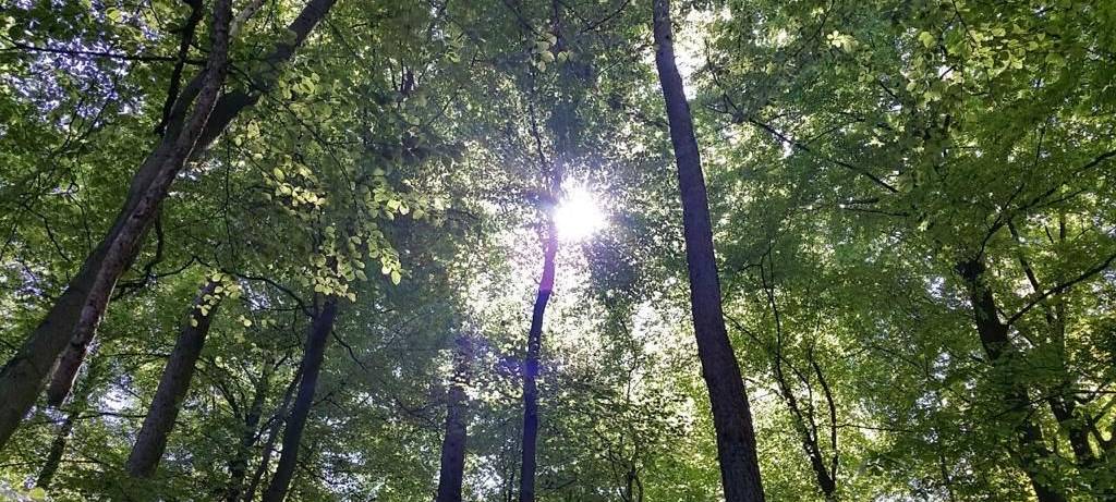 Auszeichnung für Sauerland Waldroute in Warstein