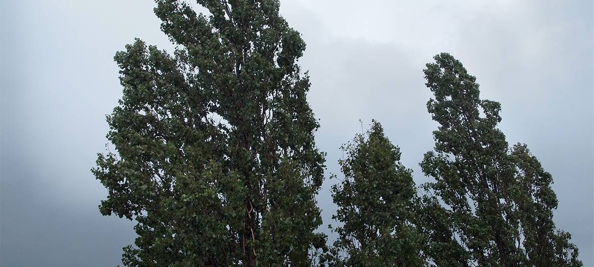 Warnung vor Windböen im Kreis Soest