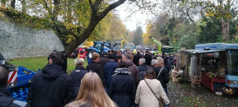 Pferdeschätzen in Soest: Die Gewinner