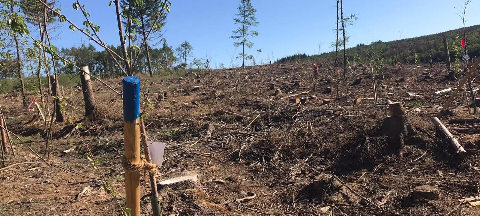 Trockenster Juli seit langem in der Region