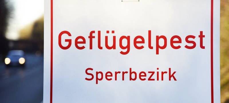 Geflügelpest an der Grenze zum Kreis Soest