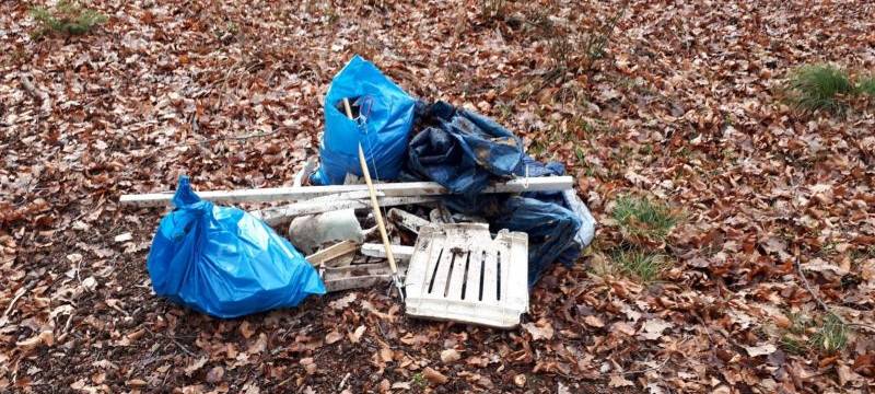 Müllsammeln in Werl