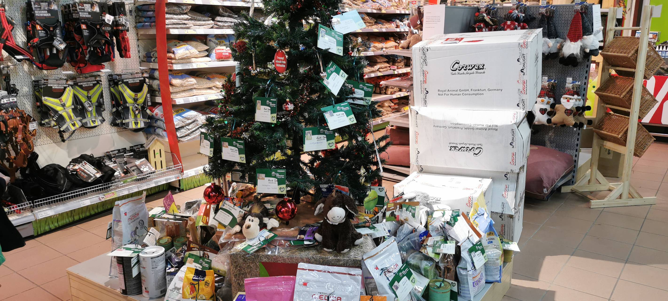 Tiergeschichten zu Weihnachten