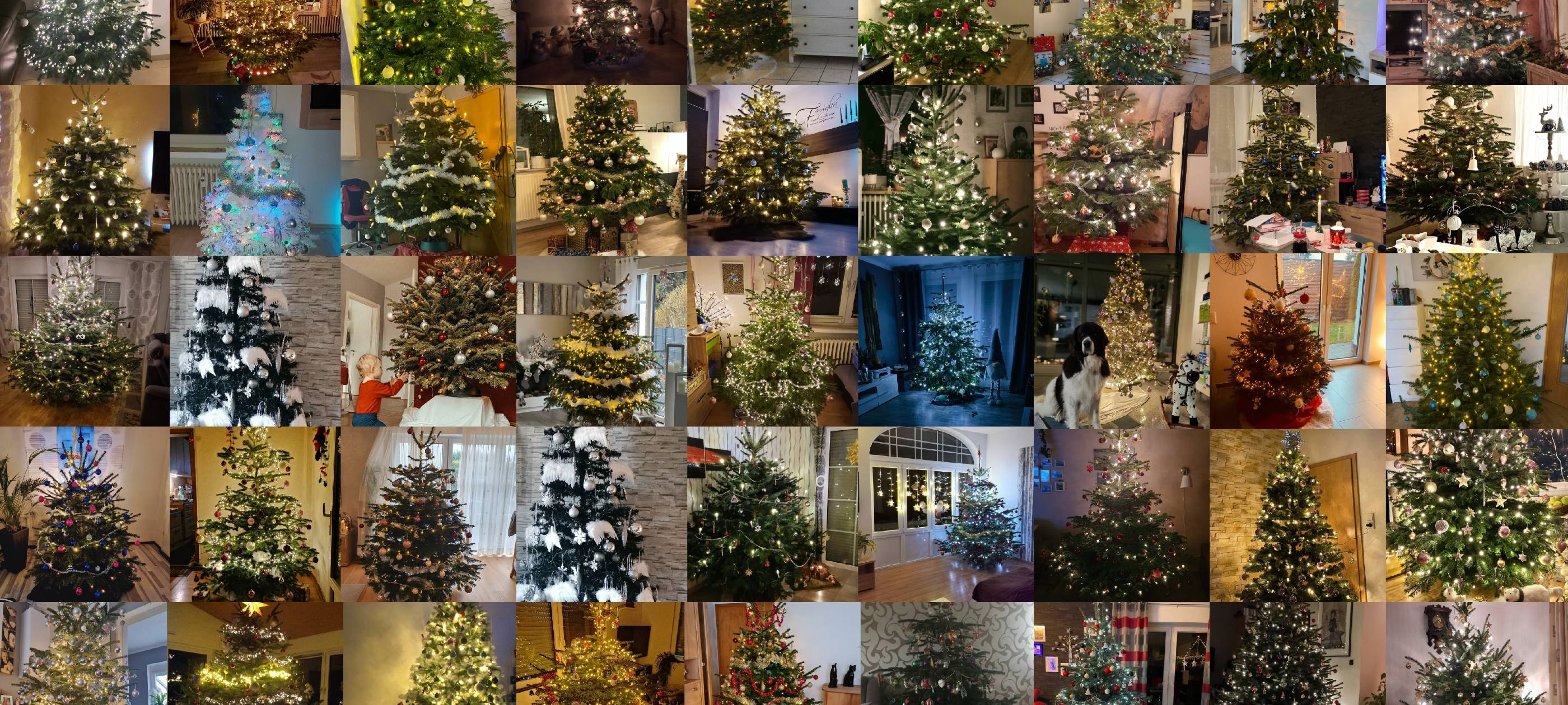 Die Weihnachtsbäume der Hellweg Radio Hörer*innen