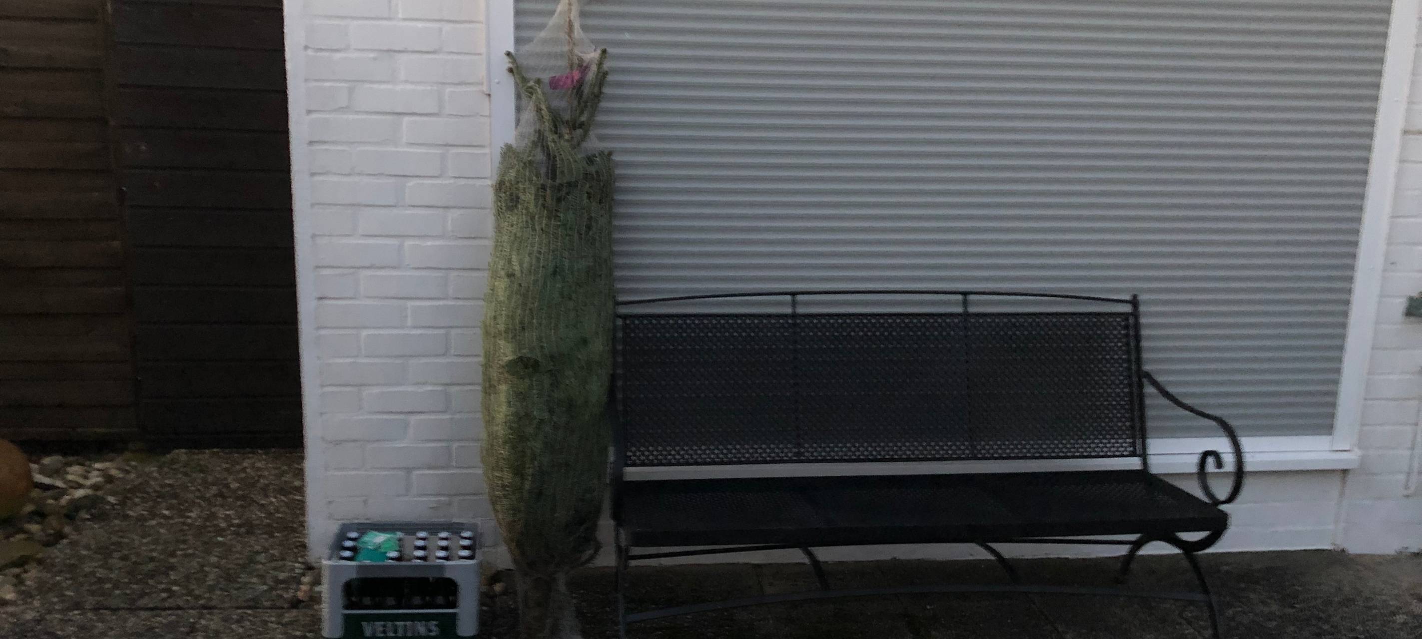 Last Minute – Last Christmas