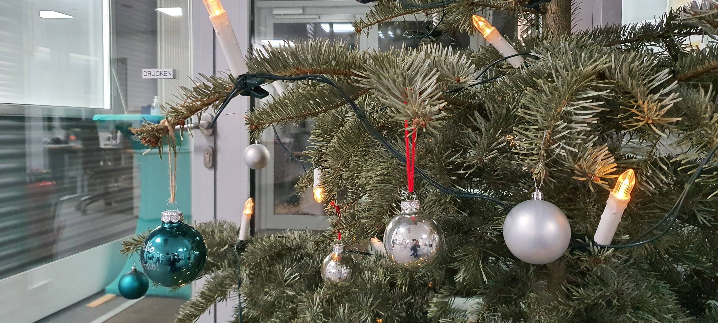 Wann werden im Kreis Soest die Weihnachtsbäume abgeholt?