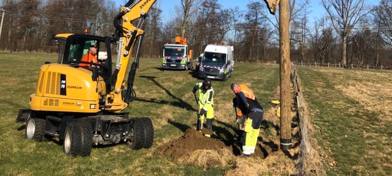 Neue Nisthilfen für Störche in den Ruhrwiesen