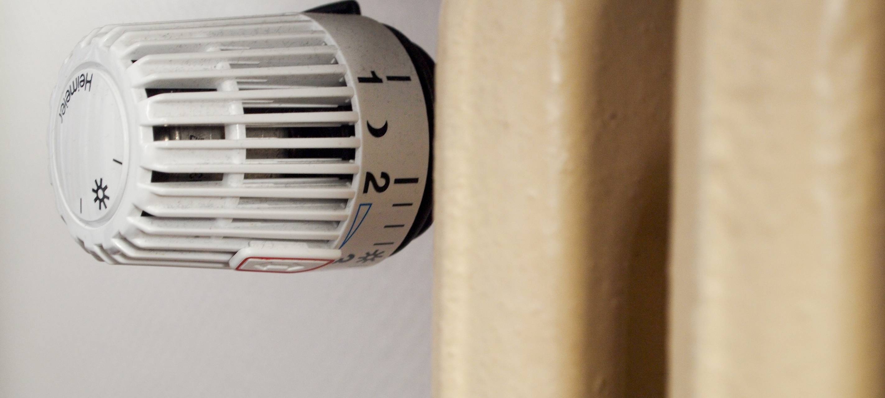 Run auf Kaminöfen im Kreis Soest