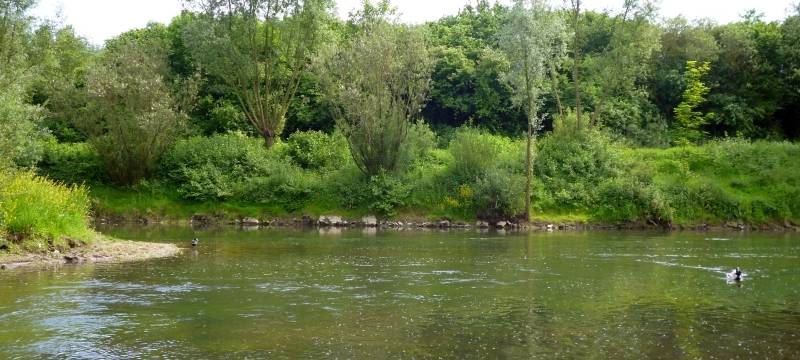 Niedrige Flusspegel im Kreis Soest und der Umgebung
