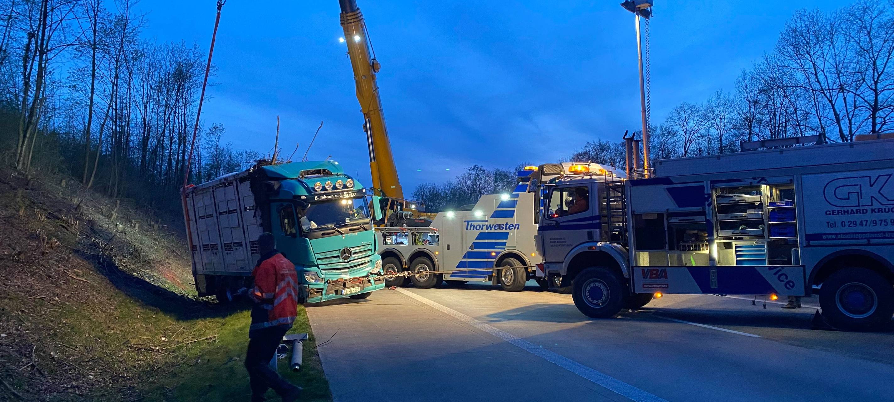 Umgekippter Schweinetransporter auf A44