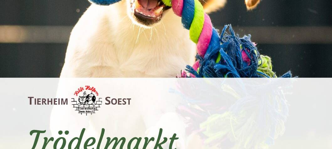 Flohmarkt im Tierheim Soest