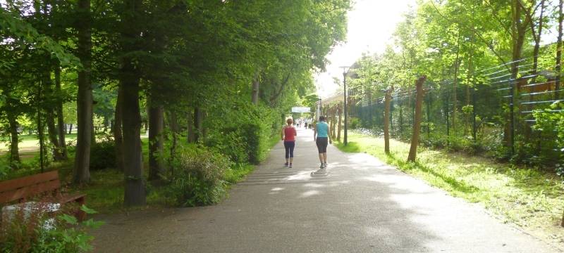 Straßenmeisterei Erwitte gegen Eichenprozessionsspinner