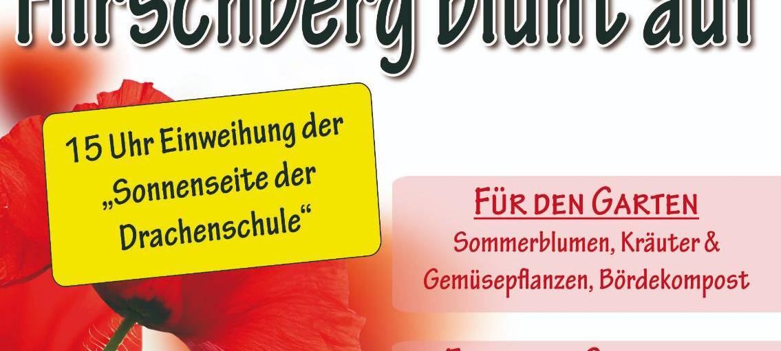 Hirschberg blüht auf