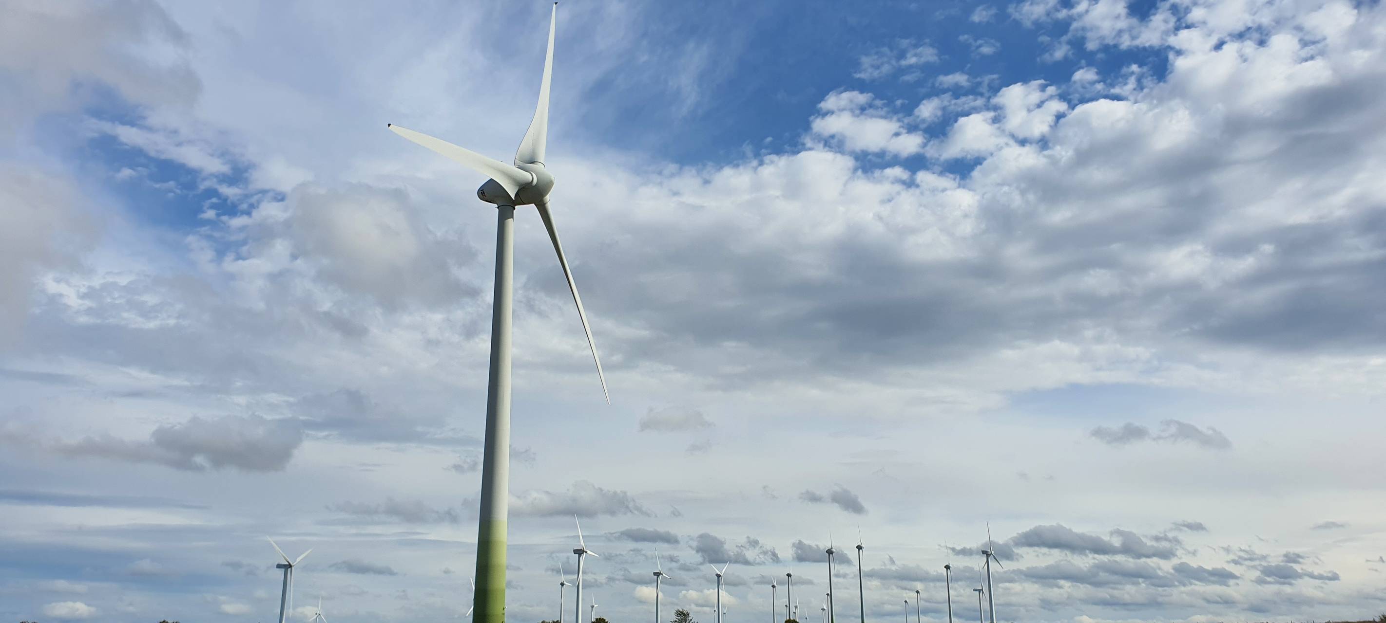 Warstein klagt nicht gegen Windpark Rennweg