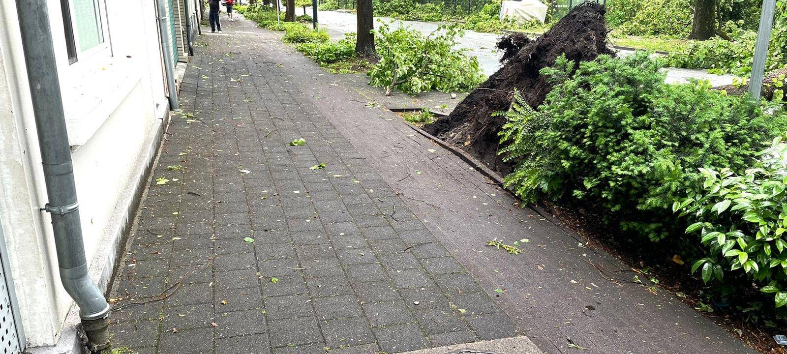 Alle aktuellen Infos zum Tornado in Lippstadt