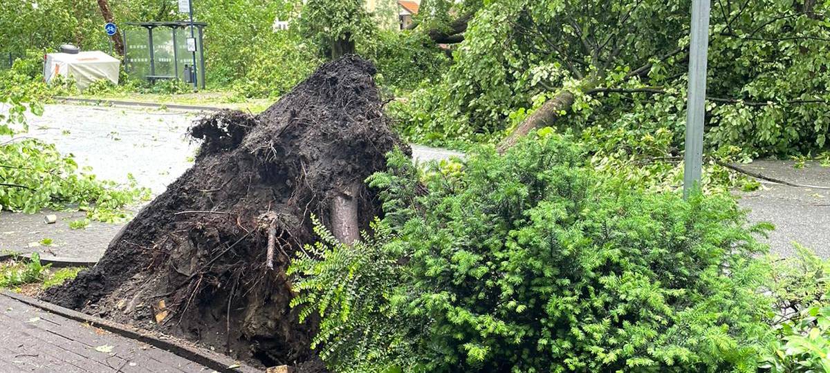 Alle aktuellen Infos zum Tornado in Lippstadt