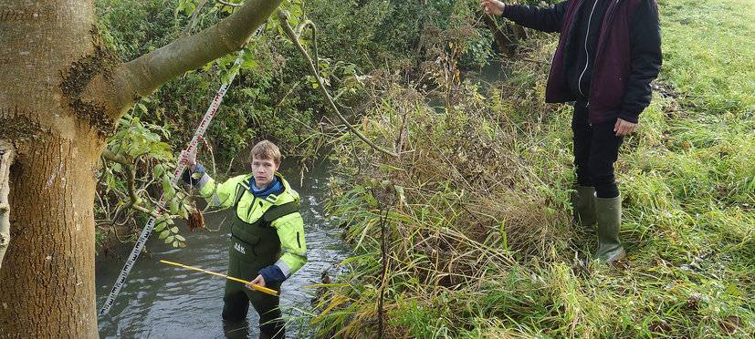 Freiwilliges Ökologisches Jahr beim Kreis Soest