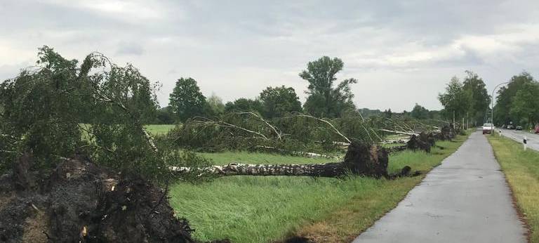 Alle aktuellen Infos zum Tornado in Lippstadt