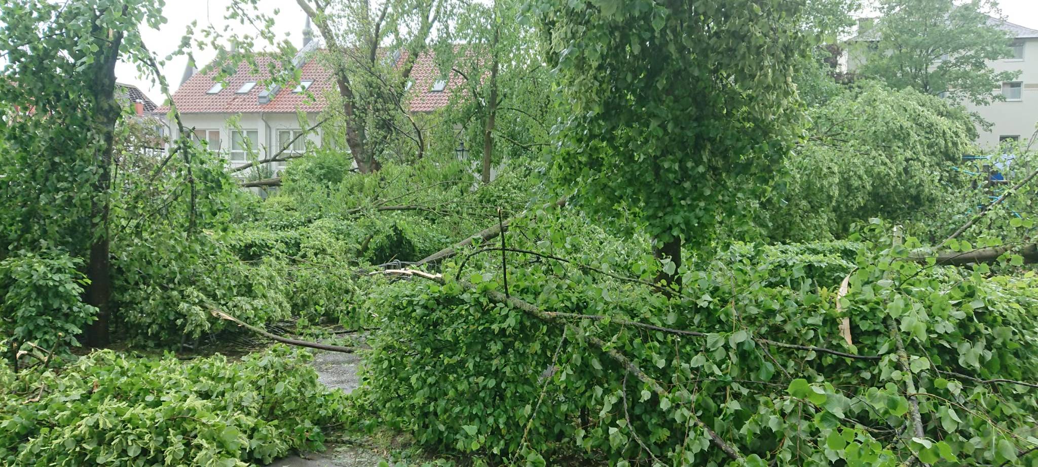 Alle aktuellen Infos zum Tornado in Lippstadt