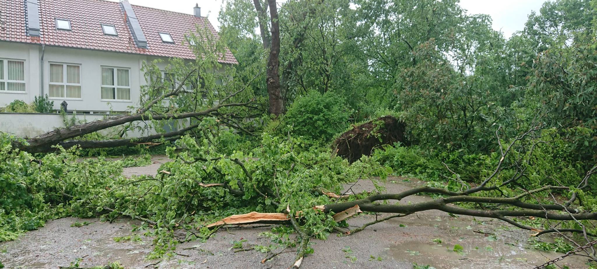 Alle aktuellen Infos zum Tornado in Lippstadt