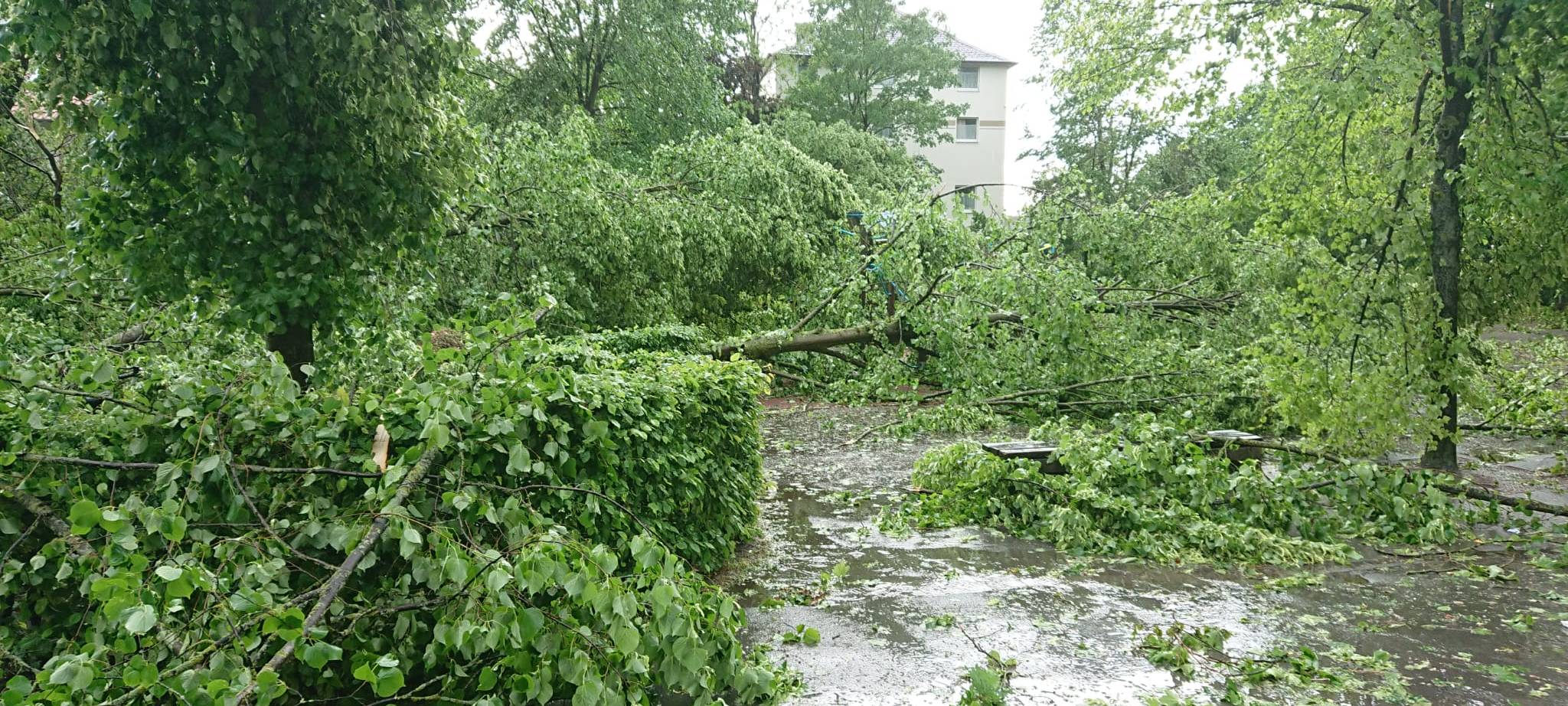 Alle aktuellen Infos zum Tornado in Lippstadt