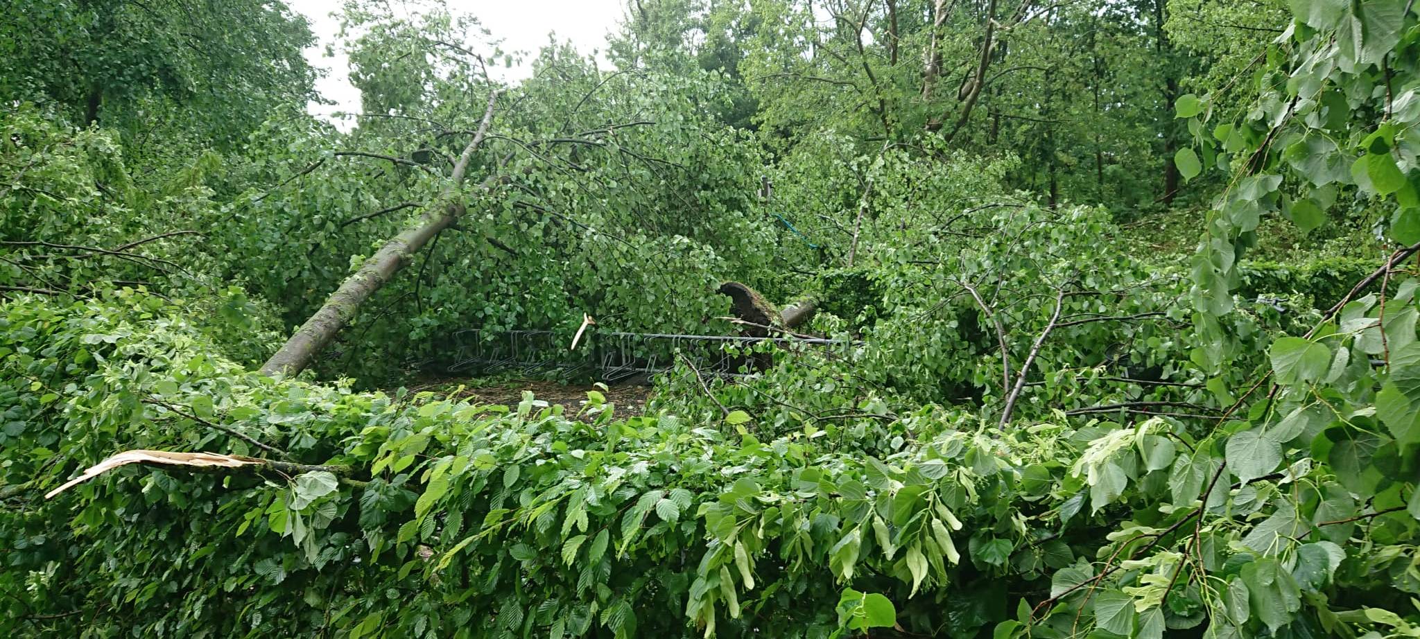 Alle aktuellen Infos zum Tornado in Lippstadt