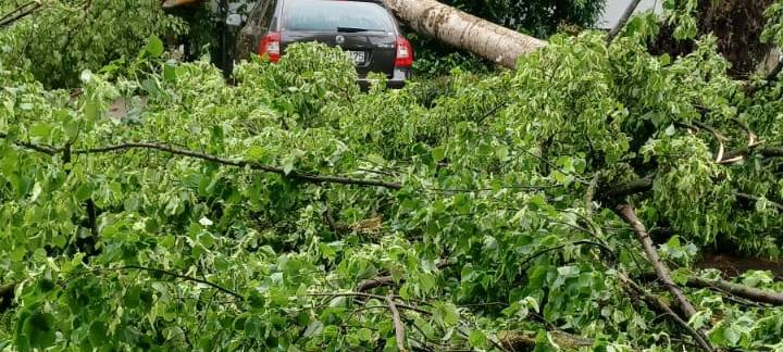 Alle aktuellen Infos zum Tornado in Lippstadt