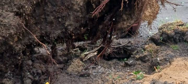 Alle aktuellen Infos zum Tornado in Lippstadt