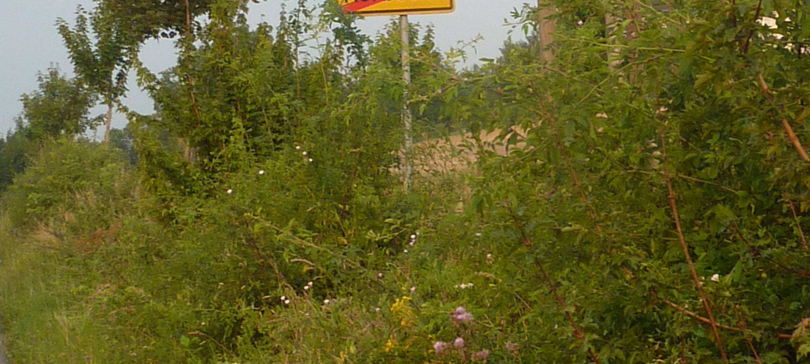 Ungewöhnlicher Unfall am Möhnesee