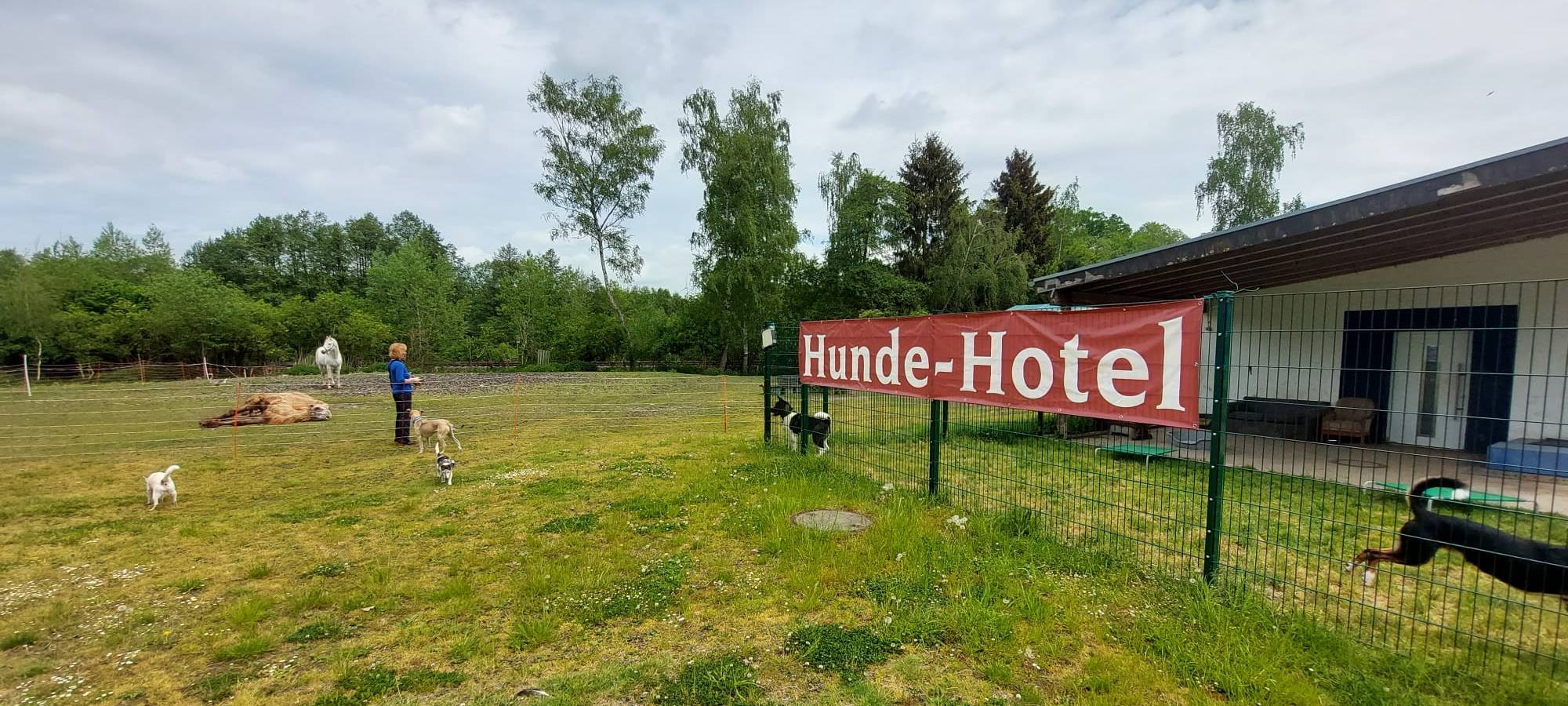 Tierbetreuung in den Ferien