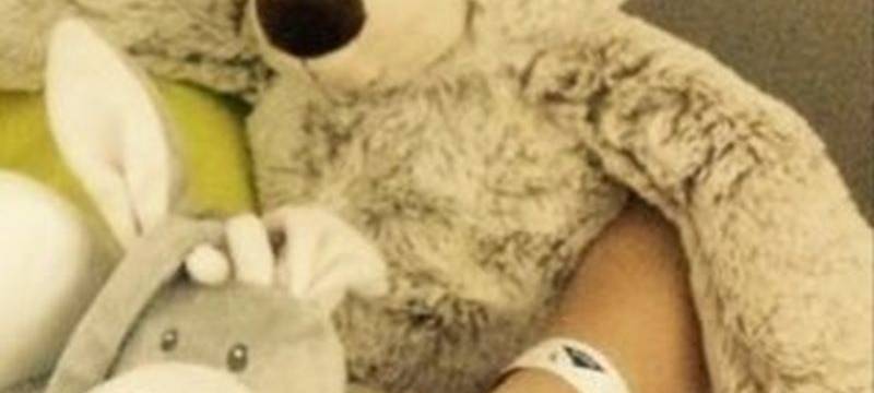 100 gespendete Teddybären