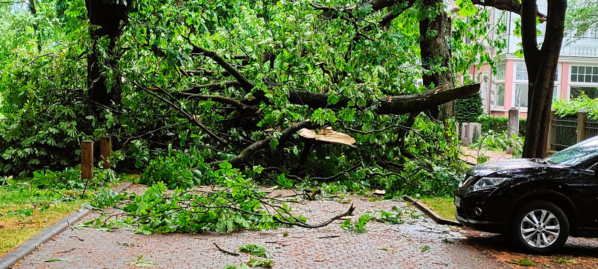 4 Millionen Euro zur Beseitigung von Sturmschäden