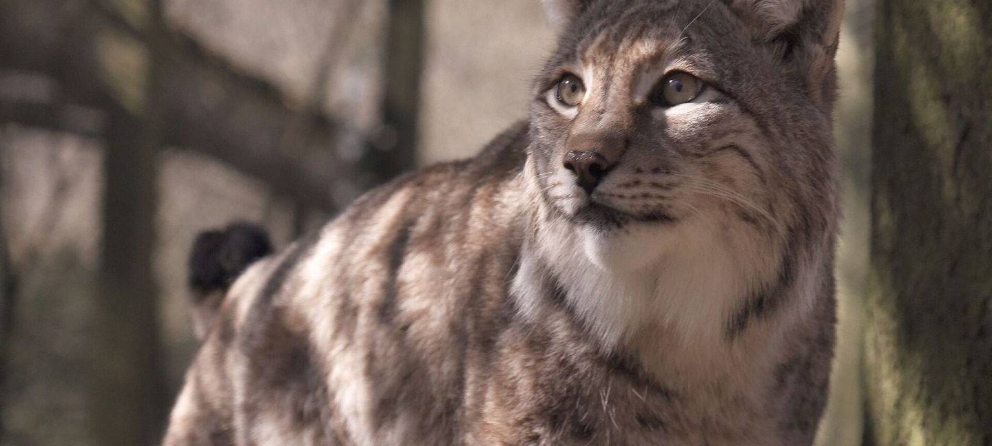 Ausflugstipps für die Osterferien
