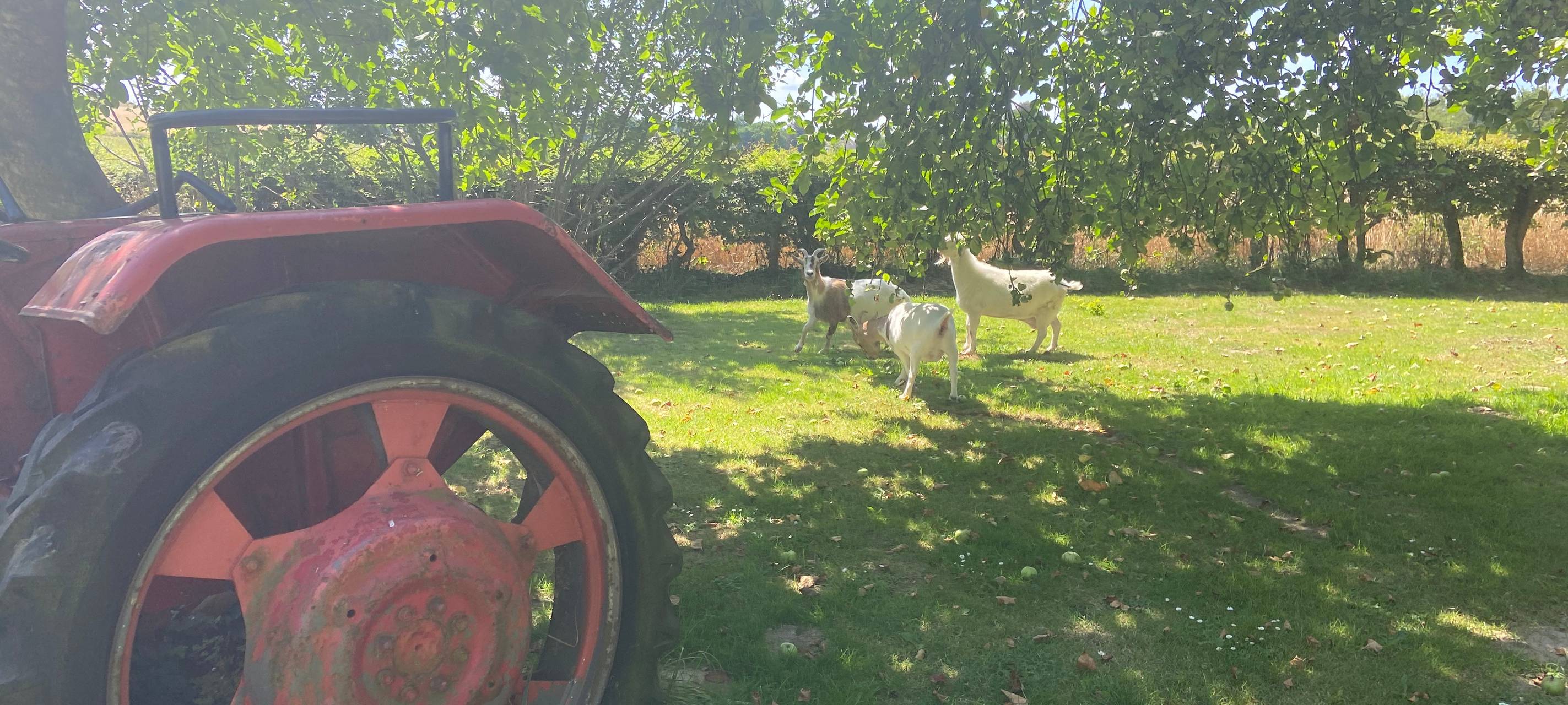 Hof-Cafés im Kreis Soest