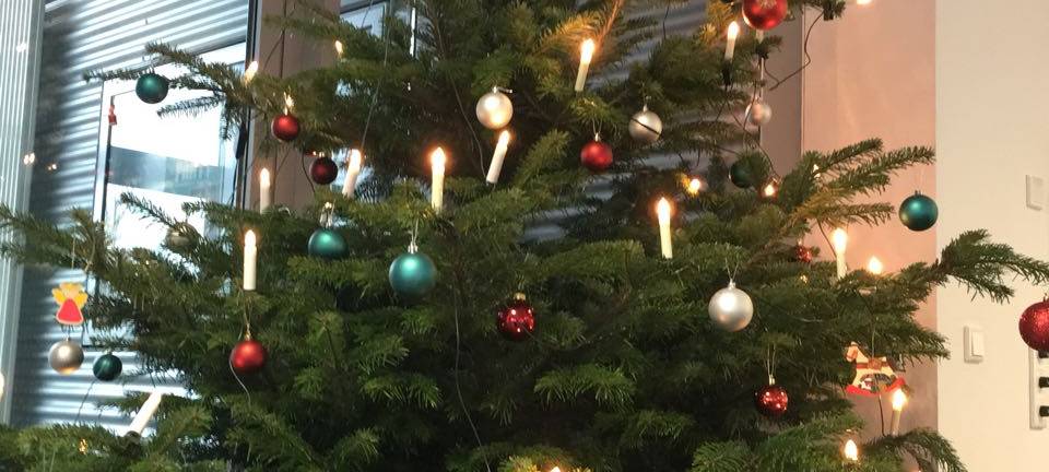 Tannenbaum-Abfuhr in Warstein