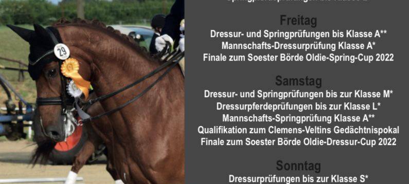 Großes August-Turnier des Reit- und Fahrverein Ostönnen e. V.