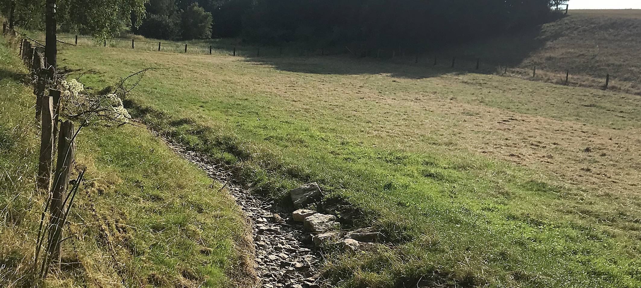 Viele kleine Gewässer im Kreis Soest fast trocken
