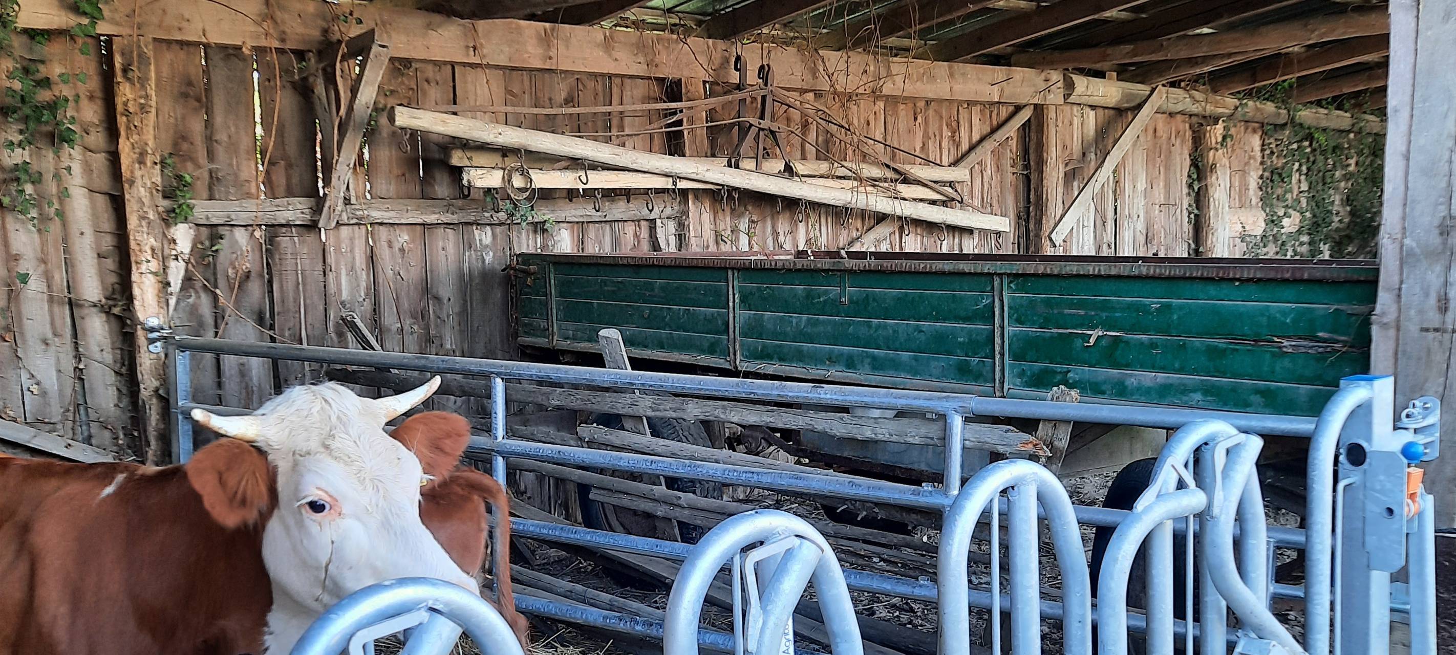 "Unser Dorf hat Zukunft" - Landesjury in Anröchte und Bad Sassendorf