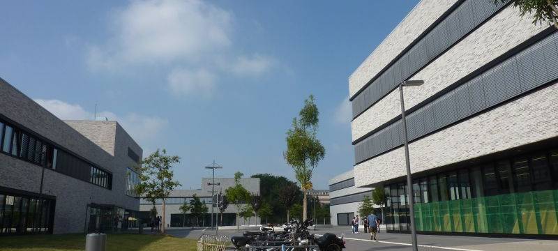 Fahrrad statt Auto - Mietfahrräder in Lippstadt