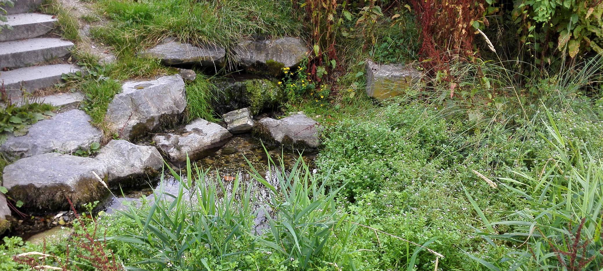 Soest-Hattrop: Soestbach wird renaturiert