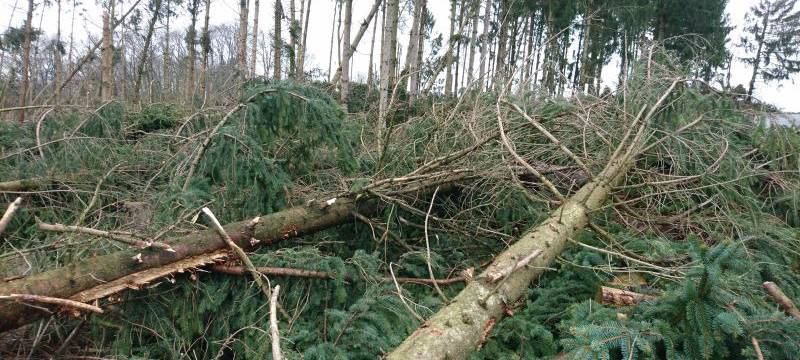 Erneuter Sturm am Wochenende