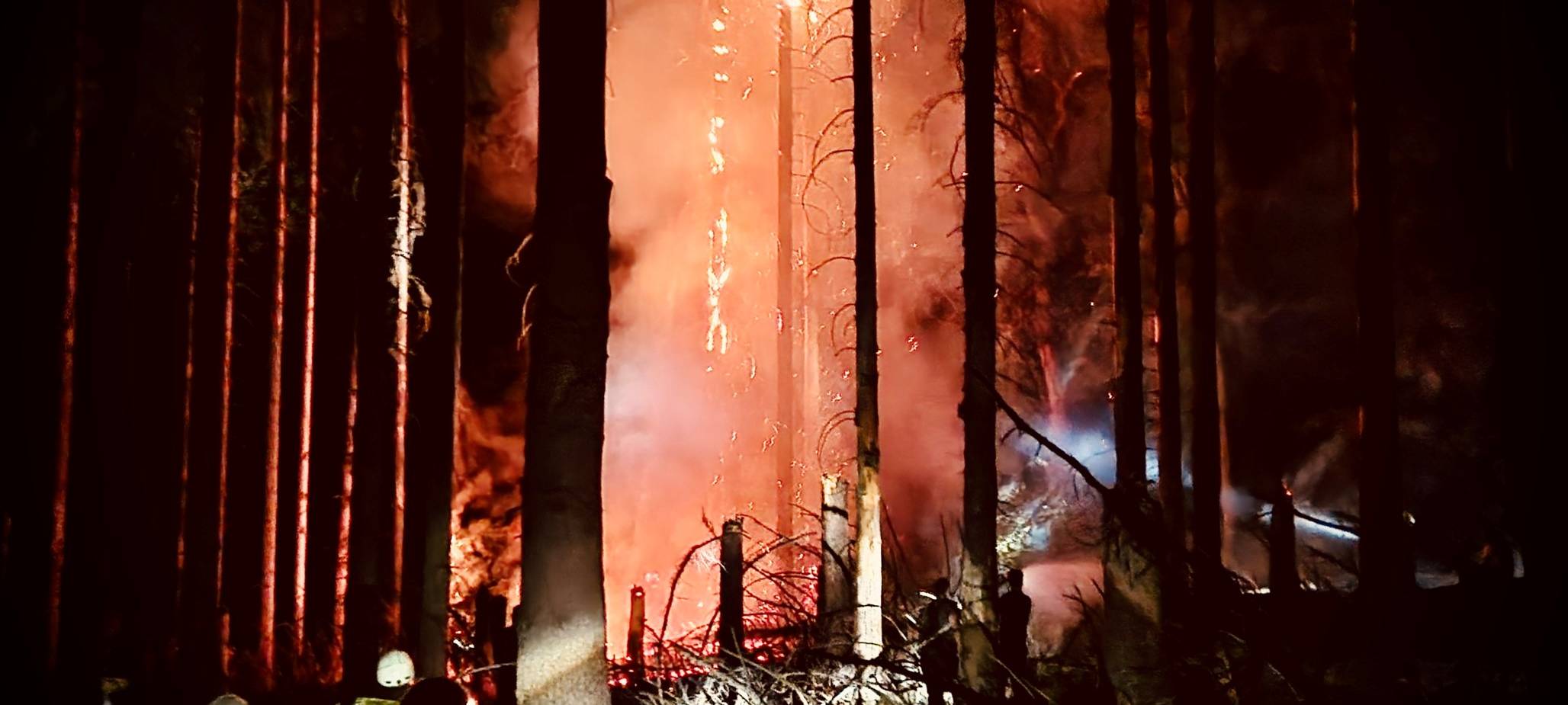 Waldbrand am Möhnesee gelöscht