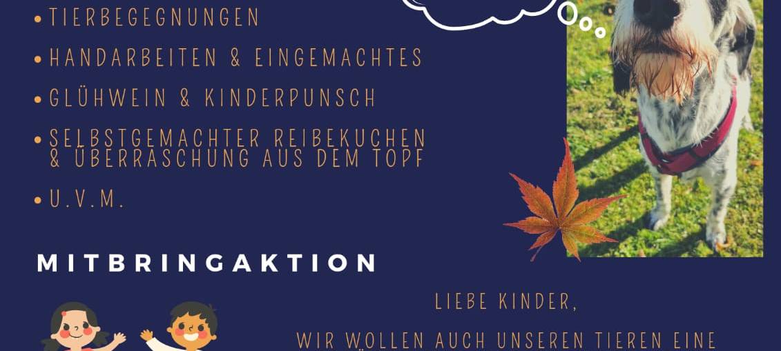 Offener Sonntag im Tierheim Lippstadt