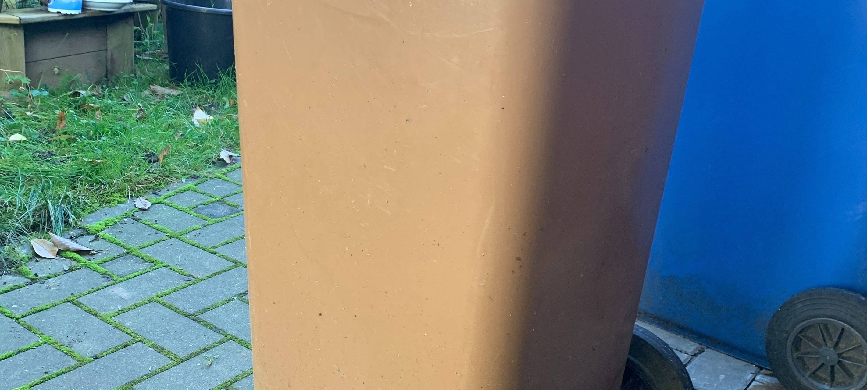 Die braune Tonne als Biogaslieferant? Das steckt dahinter