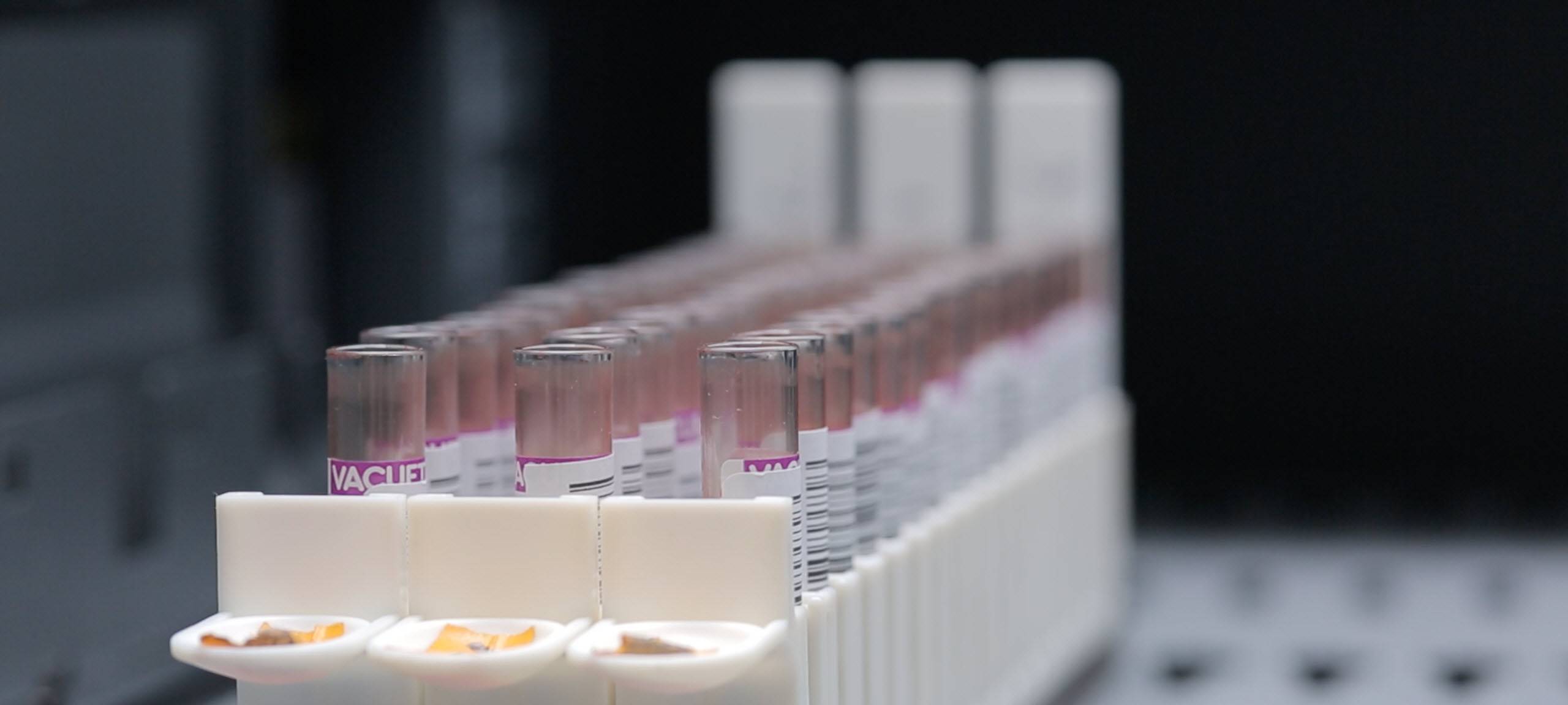 Dilara aus Lippstadt hat es nicht geschafft