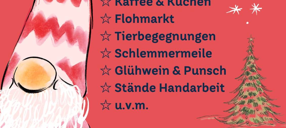 Adventssonntag im Tierheim Lippstadt