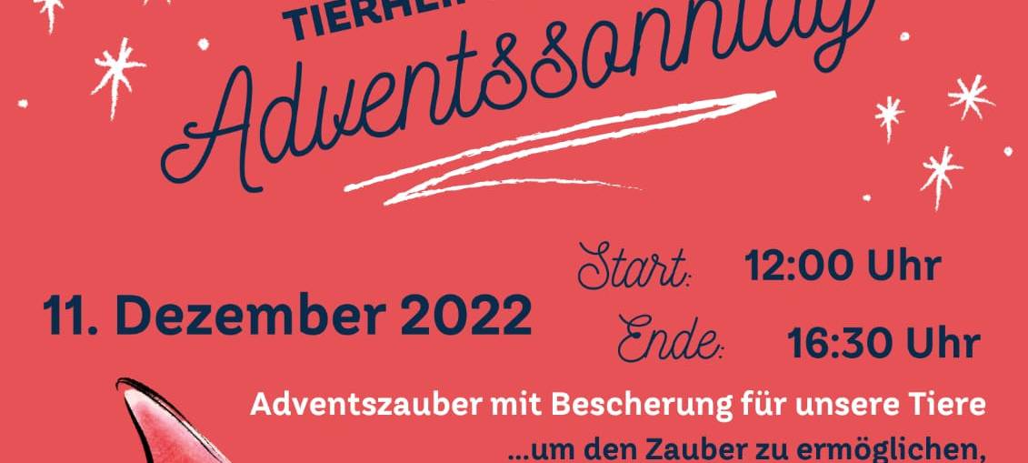 Adventssonntag im Tierheim Lippstadt