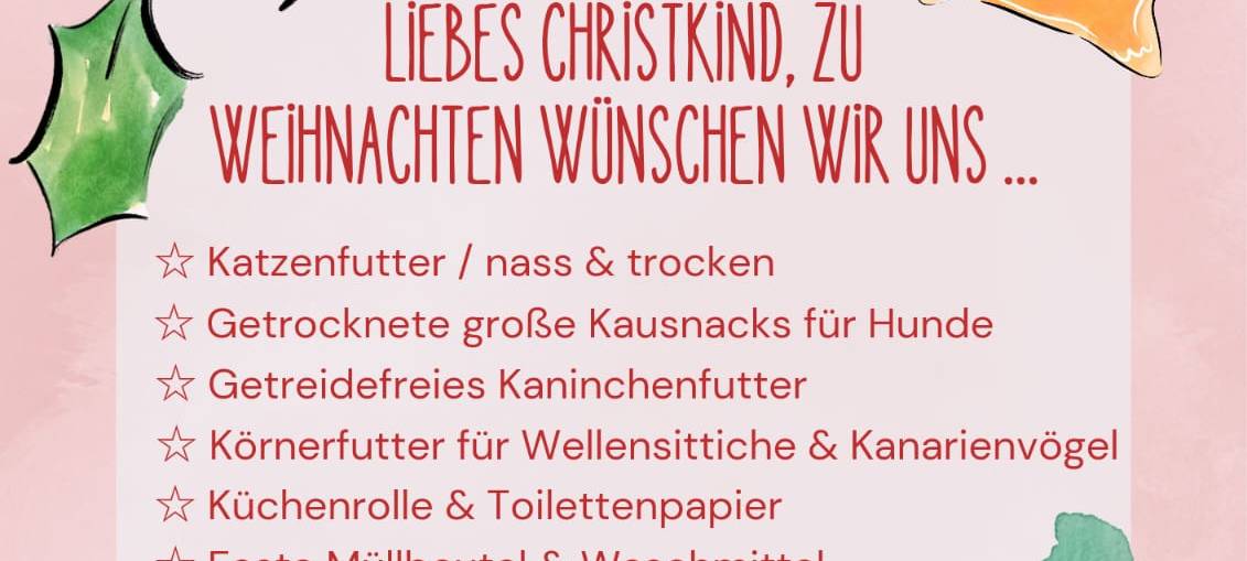 Adventssonntag im Tierheim Lippstadt