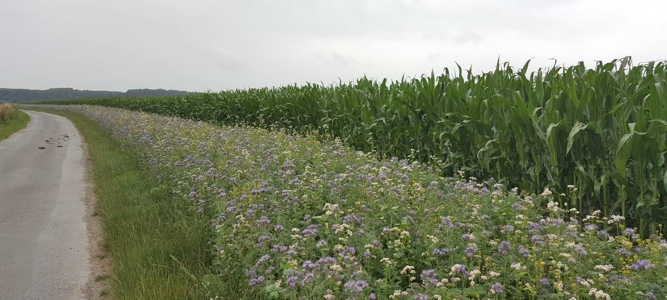 Heute ist Kreisverbandstag der Landwirte