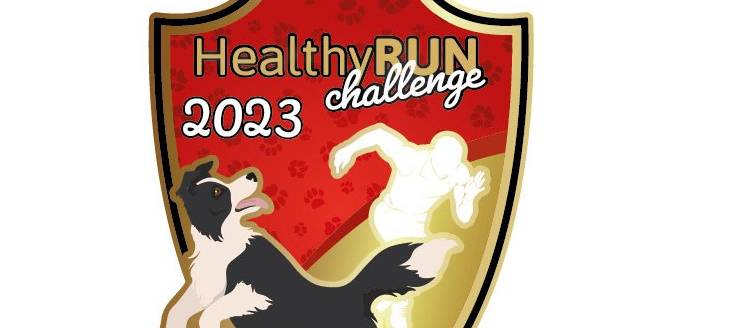 Healthy RUN Challenge - Laufend Gutes tun, für sich und andere
